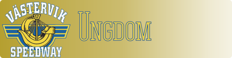 Ungdom-banner